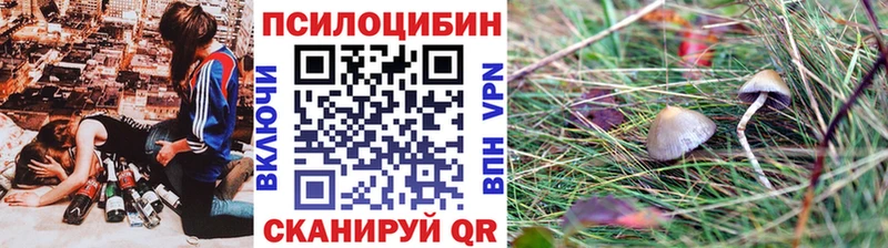Псилоцибиновые грибы Cubensis купить наркоту Покров